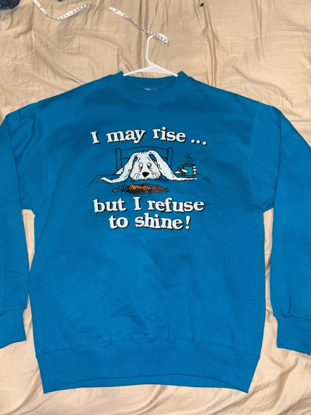 Early 90s Hanes Graphic Crewneck 'I May Rise... but I refuse to shine!'